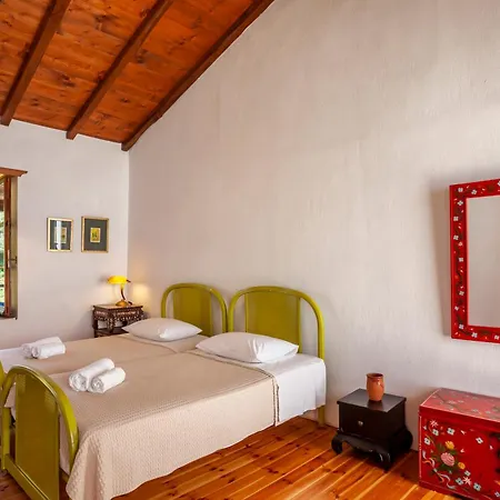 Villa Olea Skopelos With Swimming Pools & Sea View
